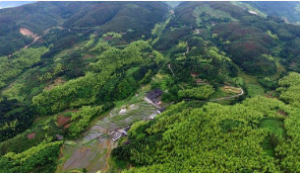 全面深化生态脆弱地区集体林权制度改革