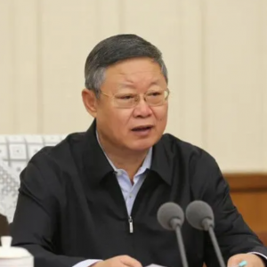 王波被查