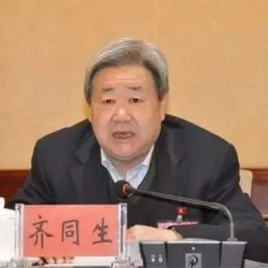 齐同生（正部级），被查