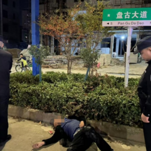 南阳桐柏县公安局：醉卧街头险象生  警民携手护安宁