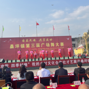 河南西峡：和美乡风入画来