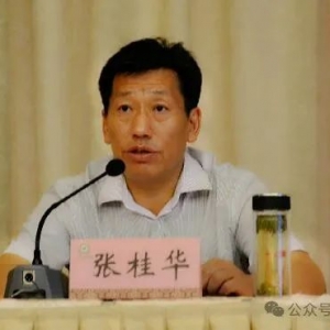 湖北省农业农村厅原副厅长、一级巡视员张桂华涉嫌严重违纪违法 ...